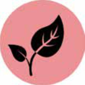 Funds Icon